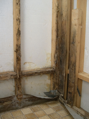 Water-Damaged Framing