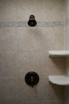 Shower Fixtures